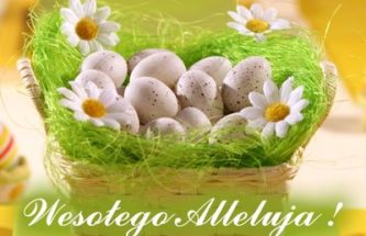 Przejdź do wpisu Radosnego Alleluja